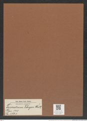 Triceratium febigeri Walker (de-Toni-Nr.: Genus 140, Species 3761) Zeichnungen Sammlung Grunow Mappe 03861 (Herbarium_W_Grunow_drawings_Folder_03861)